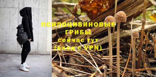 гидропоника Нягань