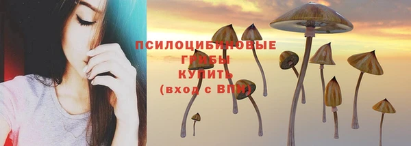 гидропоника Нягань
