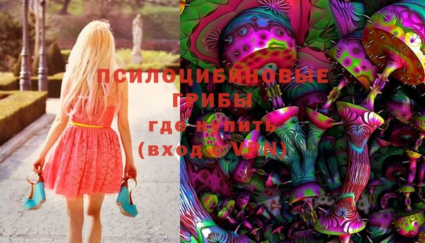 дурь Нязепетровск