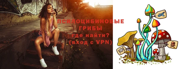 гидропоника Нягань