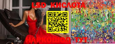 стафф Донской