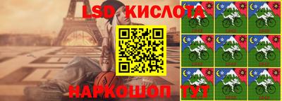 стафф Донской