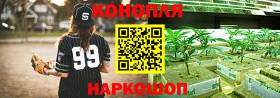 каннабис Берёзовский