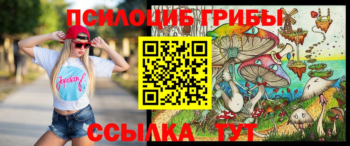Галлюциногенные грибы Psilocybine cubensis Краснокаменск