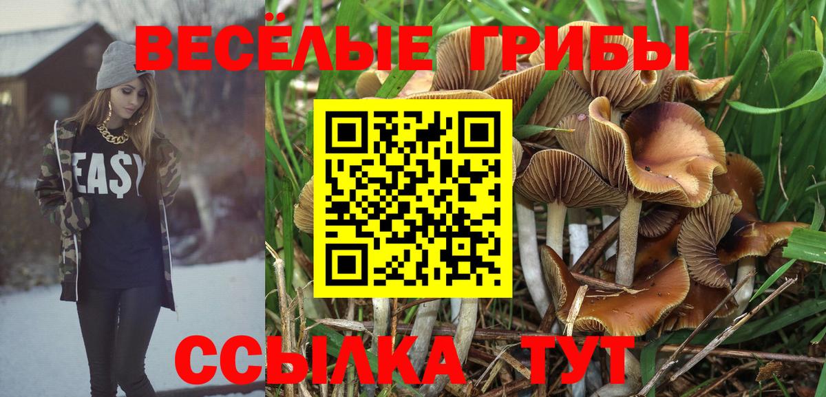 Краснокаменск  Галлюциногенные грибы GOLDEN TEACHER  Вход с VPN 