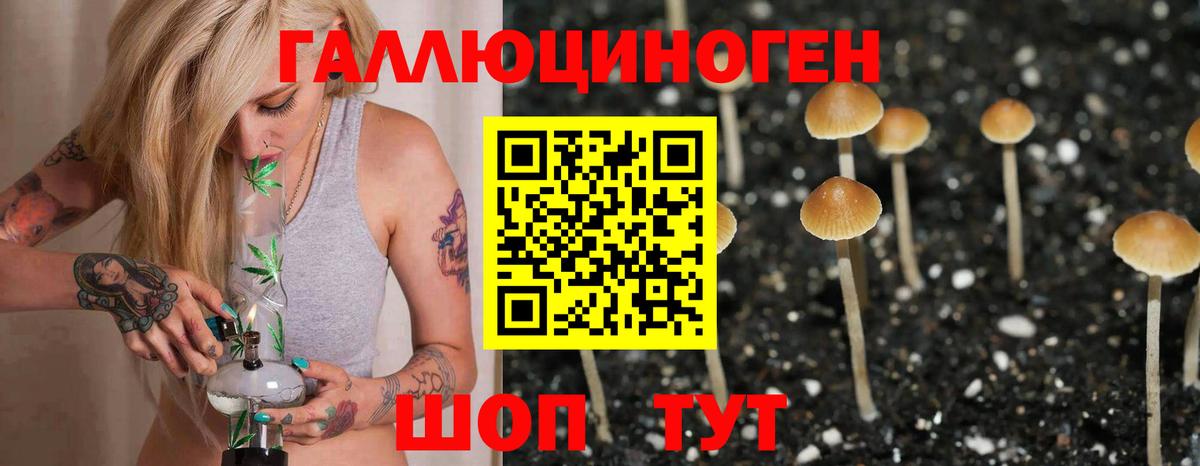 Псилоцибиновые грибы GOLDEN TEACHER  купить   Краснокаменск 